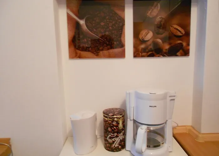 Hofgarten Regensburg